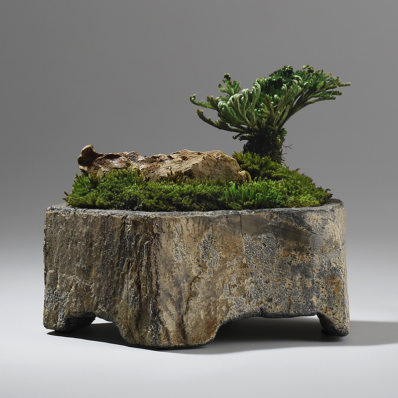 Bonsai Garden Indoor - Maceta de Piedra Natural de Basalto,