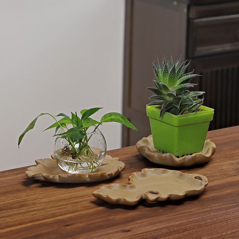 Planta hidropónica de madera b - Drip Tray Saucer reseña y precio