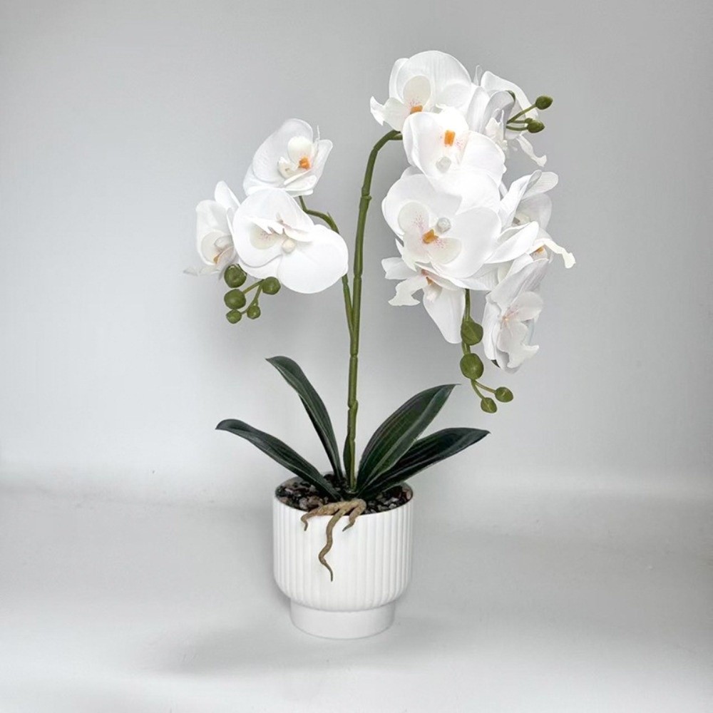 Orquídea Mariposa Artificial M - Bonsai Garden Zen reseña y precio