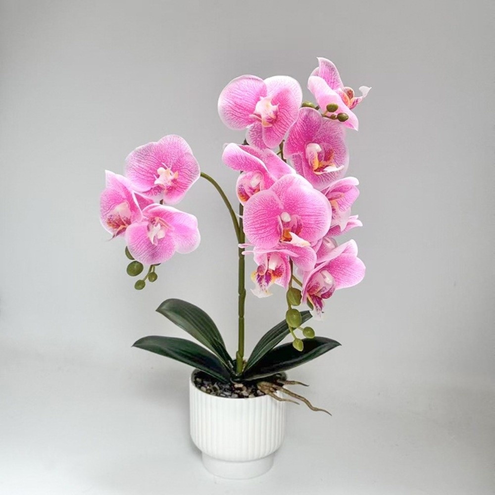 Orquídea Mariposa Artificial M - Bonsai Garden Zen reseña y precio