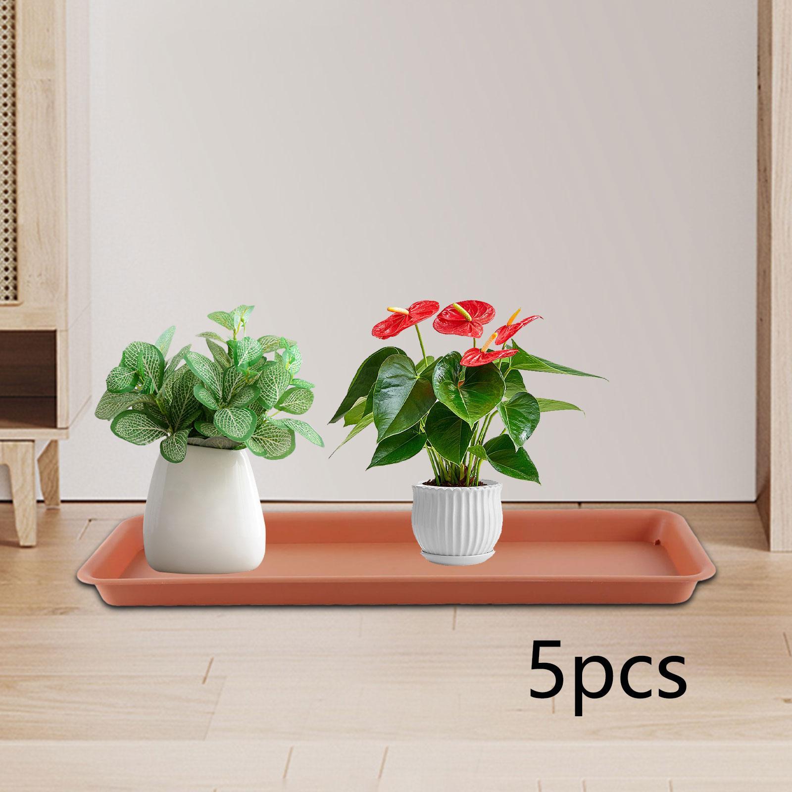 Maceta Alta Rectangular para T - Drip Tray Saucer reseña y precio