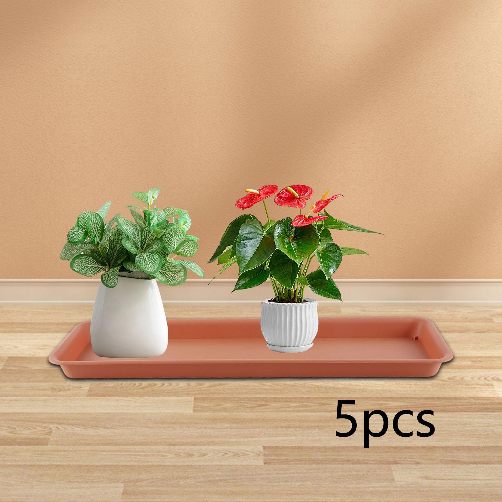 Maceta Alta Rectangular para T - Drip Tray Saucer reseña y precio