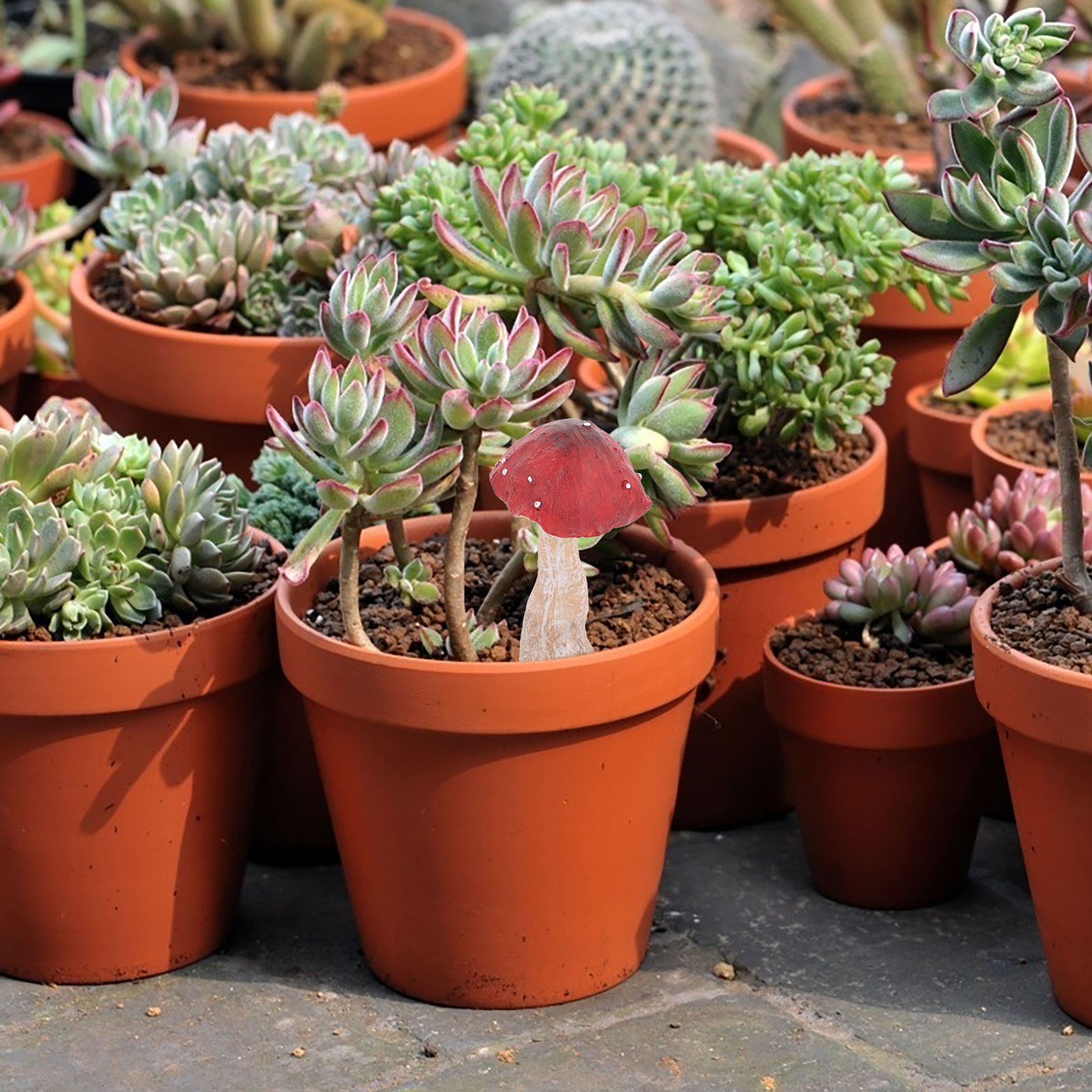 4 piezas de miniaturas de hong - Bonsai Garden Indoor reseña y precio