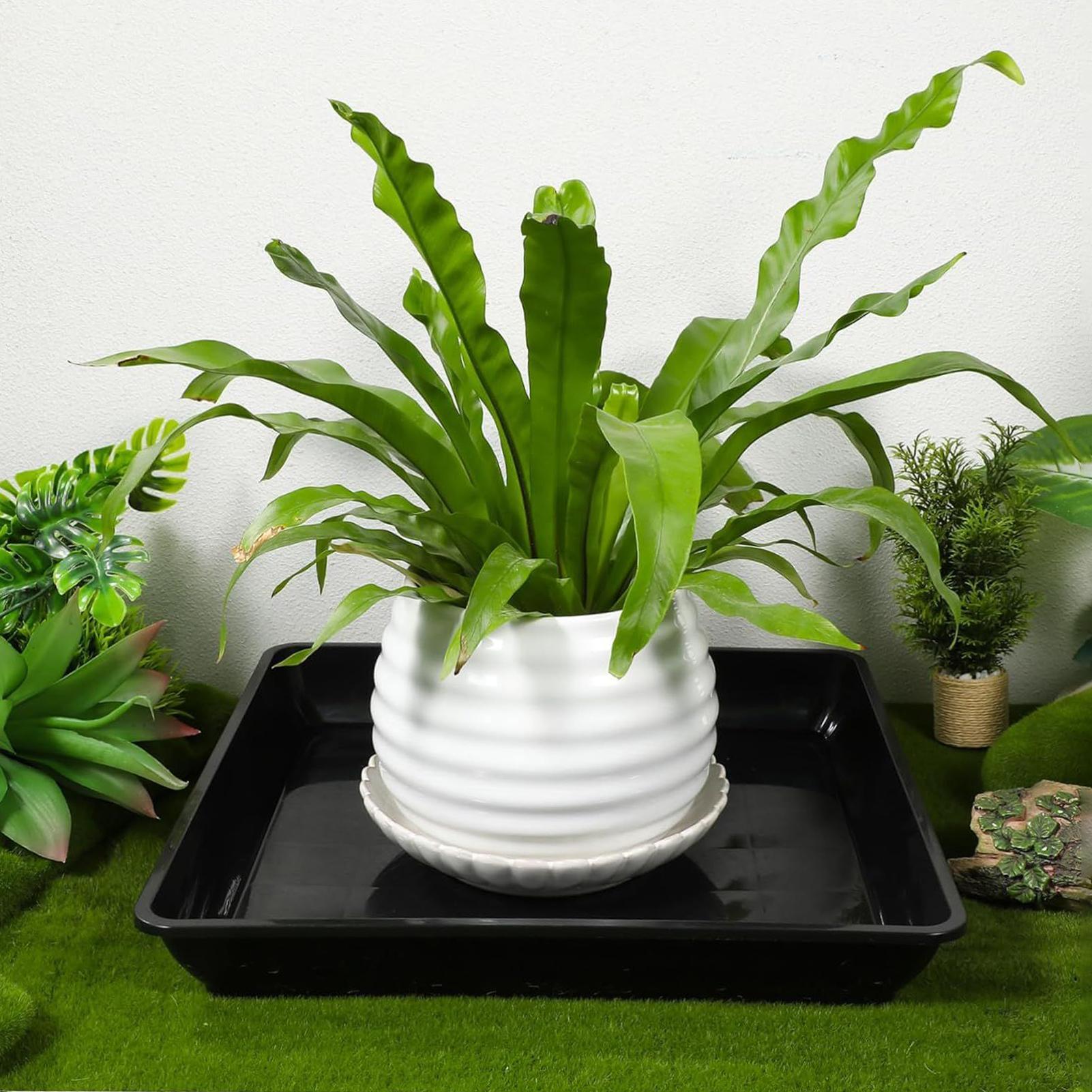 Bandejas para macetas, 2 unida - Drip Tray Saucer reseña y precio