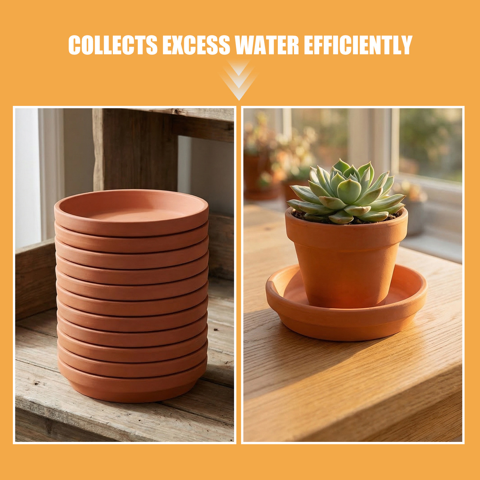 12 piezas de platillos para ma - Drip Tray Saucer reseña y precio
