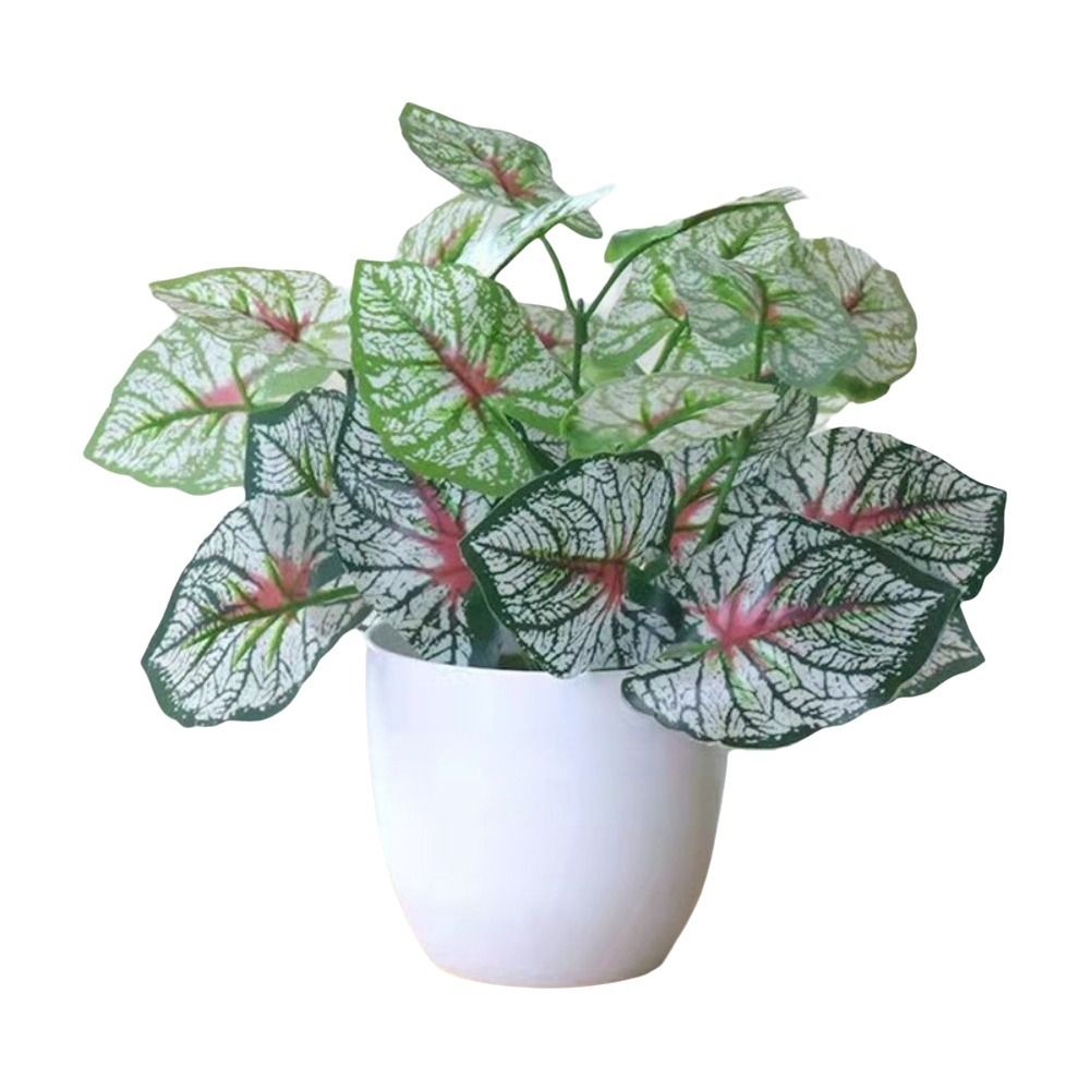 Mini Flores Artificiales en Ma - Bonsai Garden Zen reseña y precio