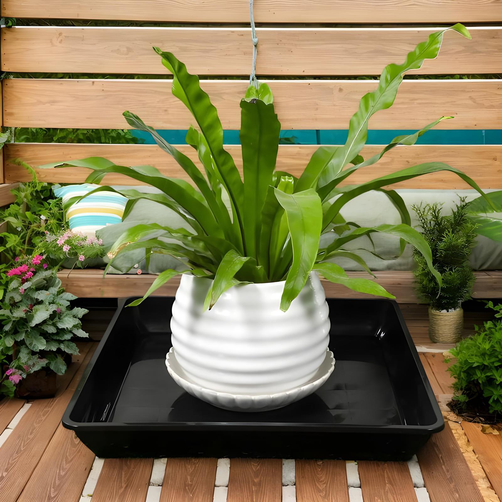 Bandejas para Macetas, 2 Pieza - Drip Tray Saucer reseña y precio