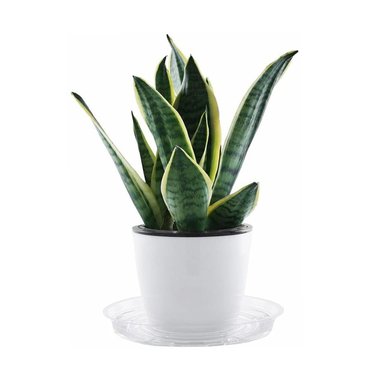 Platillo para plantas de jardí - Drip Tray Saucer reseña y precio