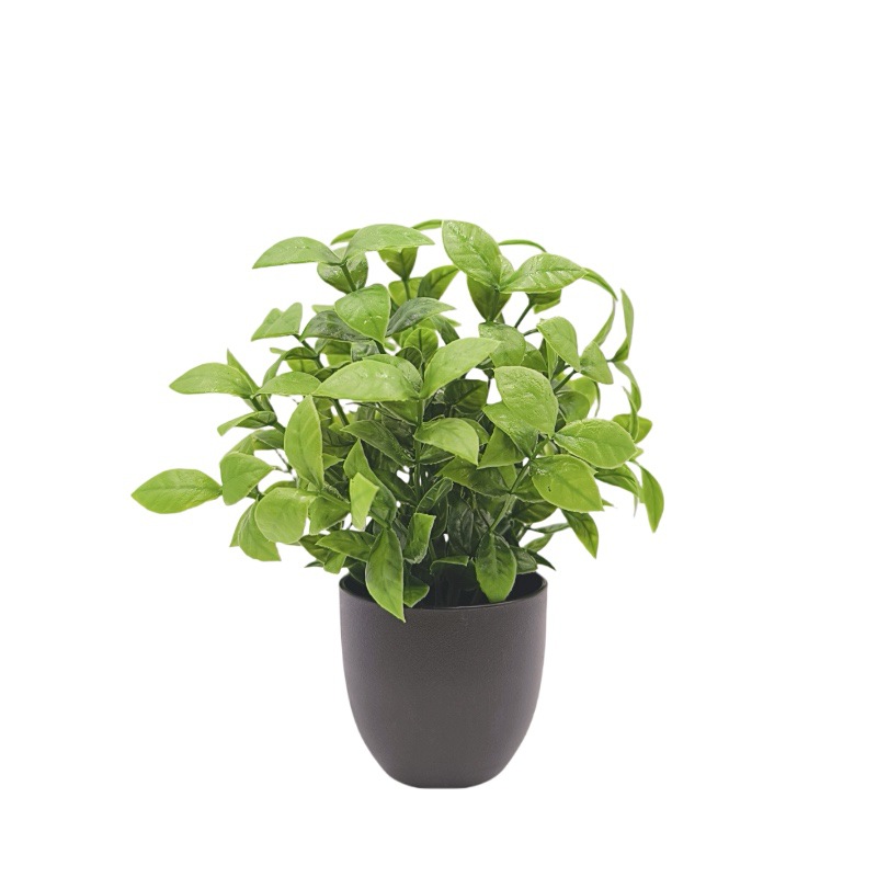 Bonsái de Planta Verde Simulad - Bonsai Garden Zen reseña y precio