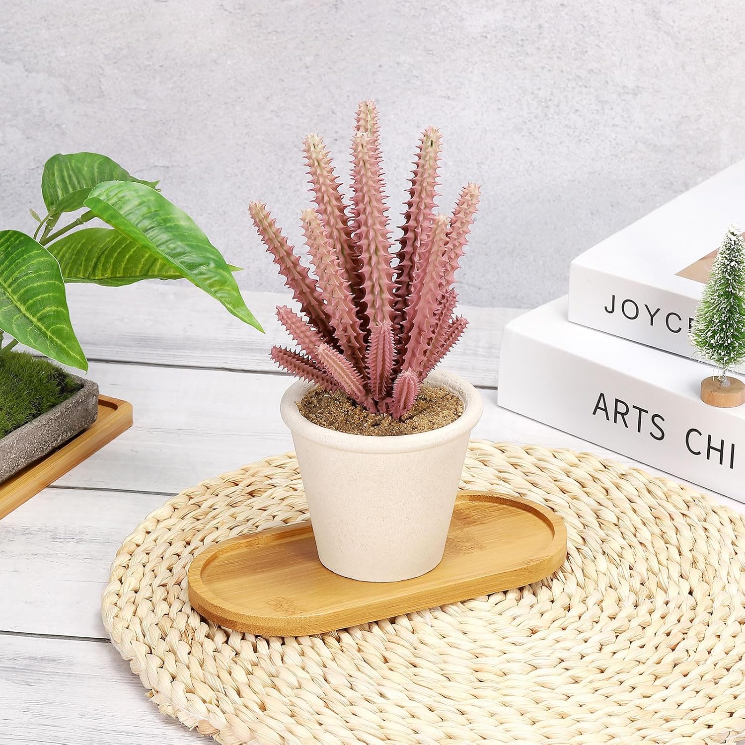 Juego de 4 platillos ovalados  - Drip Tray Saucer reseña y precio